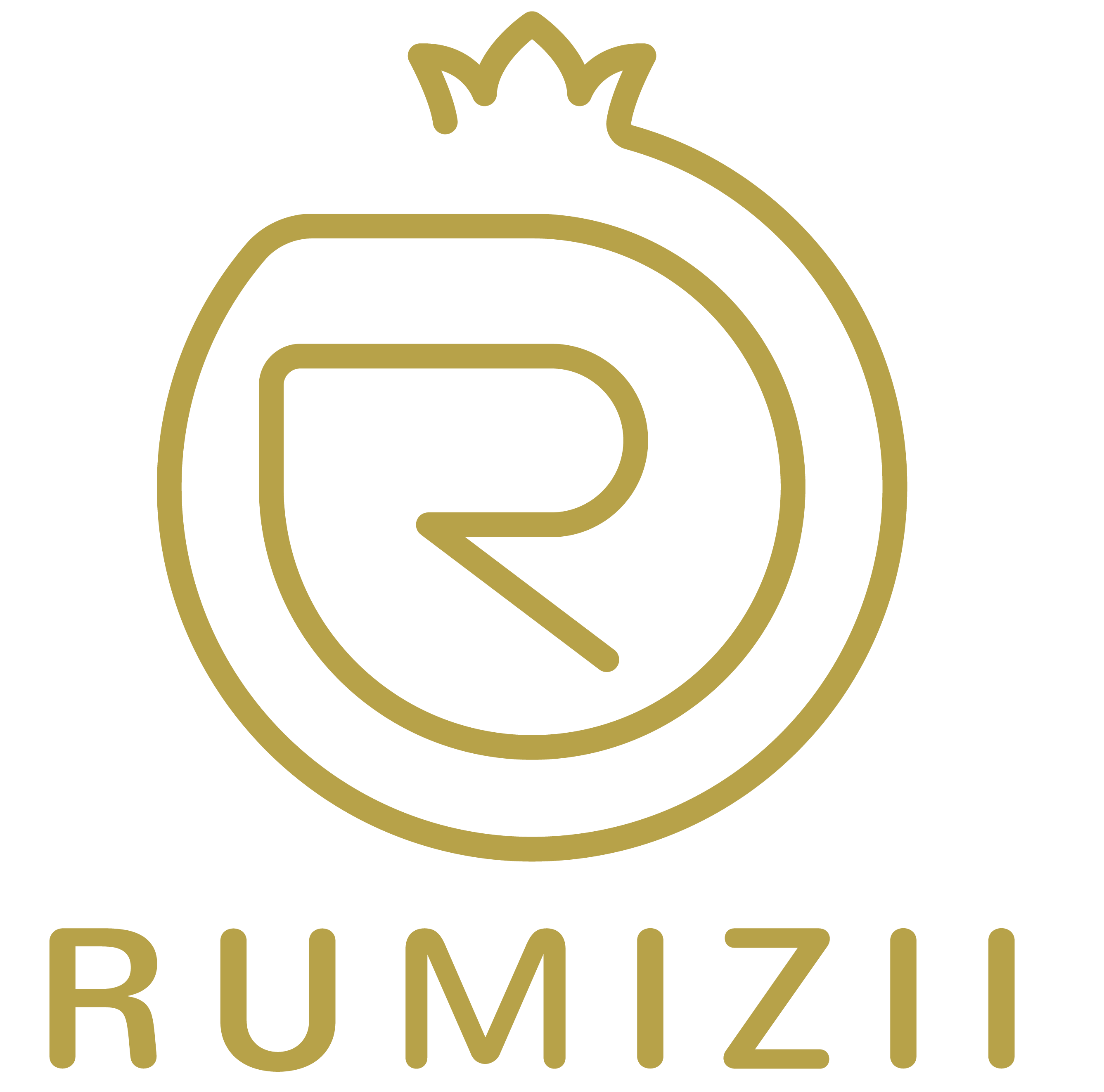 Rumizii